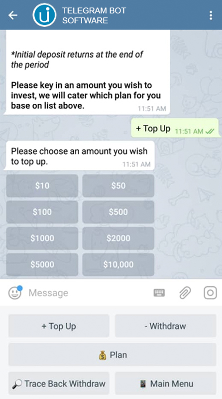 Telegram bot mini app